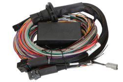 Elite 2500 - 2.5m (8 ft) Premium Uni Wire-in Harness