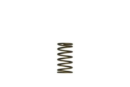 GenV WG60 3psi Inner Spring