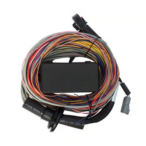 Elite 550 + Premium Universal Wire-in Harness Kit 2.5m (8’) - Image 4