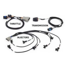 Rebel LS Kit - Suits Gen III - Cable throttle, EV1, Manual Transmission - Image 2